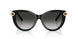 80013C - Black - Gray Gradient