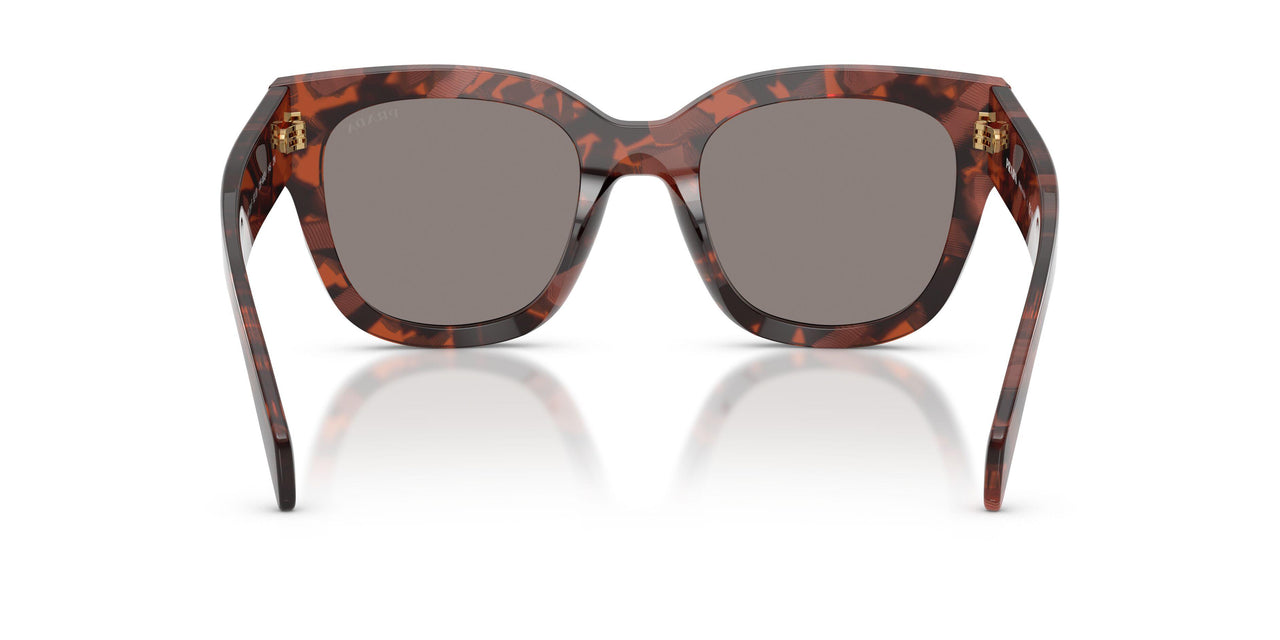 23F80Q - Tortoise - Dark Grey