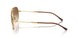 001/51 - Gold - Clear & Brown