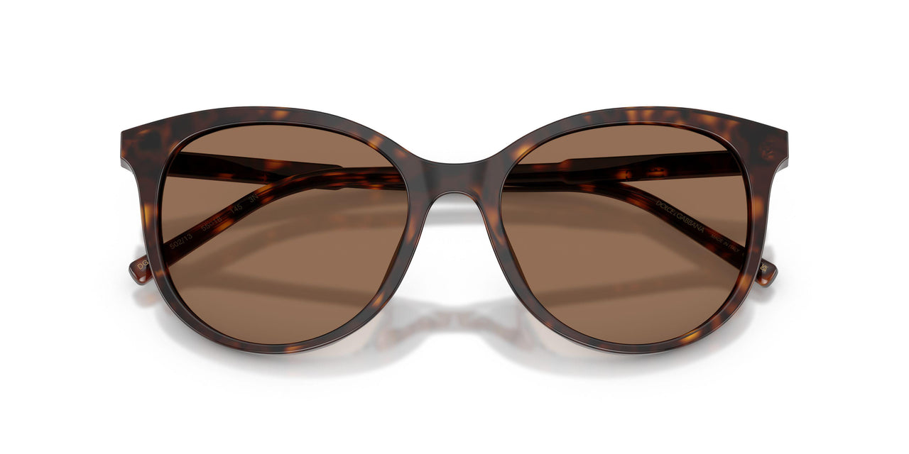502/13 - Tortoise - Dark Brown