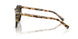 80649A - Tortoise - Polar Green