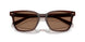 617273 - Red - Solid Brown