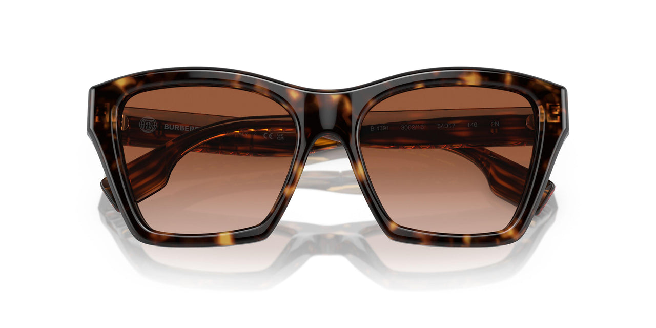 300213 - Brown - Brown Gradient