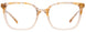 10 - Marbled Brown & Crystal Brown/Satin Gold