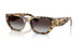 26058G - Tortoise - Grey Gradient