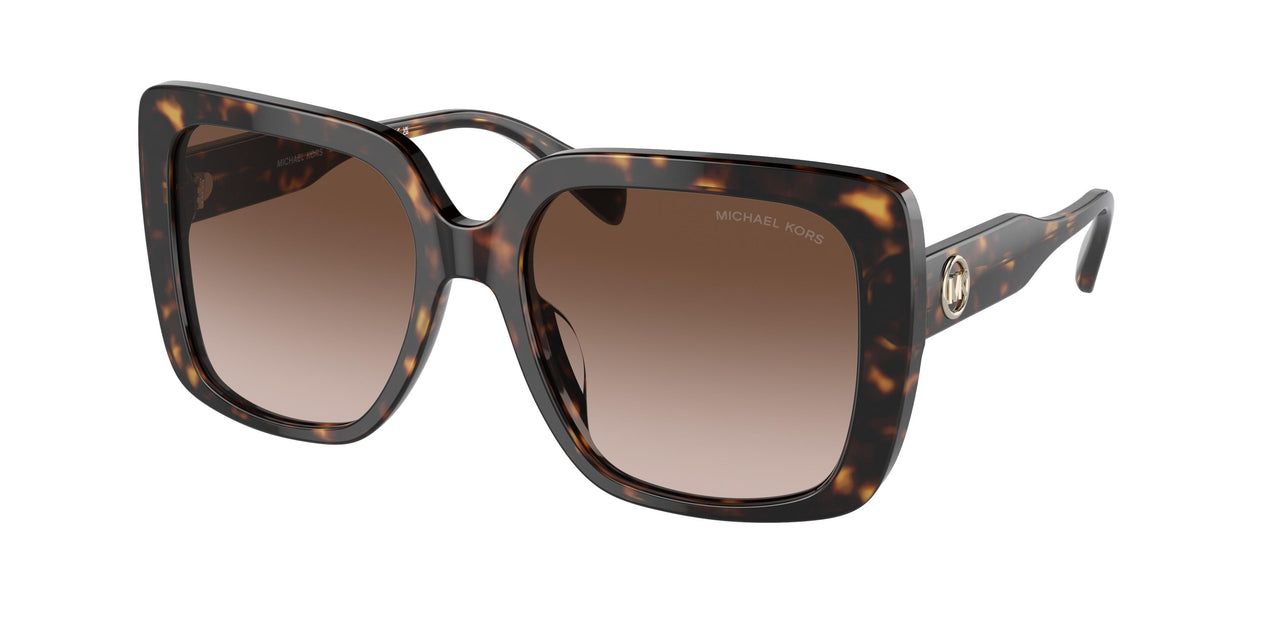 300613 - Tortoise - Brown Gradient