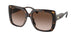 300613 - Tortoise - Brown Gradient
