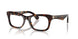 3002 - Brown