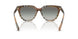 420211 - Brown - Grey Gradient