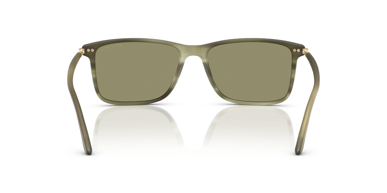 61682A - Tortoise - Green
