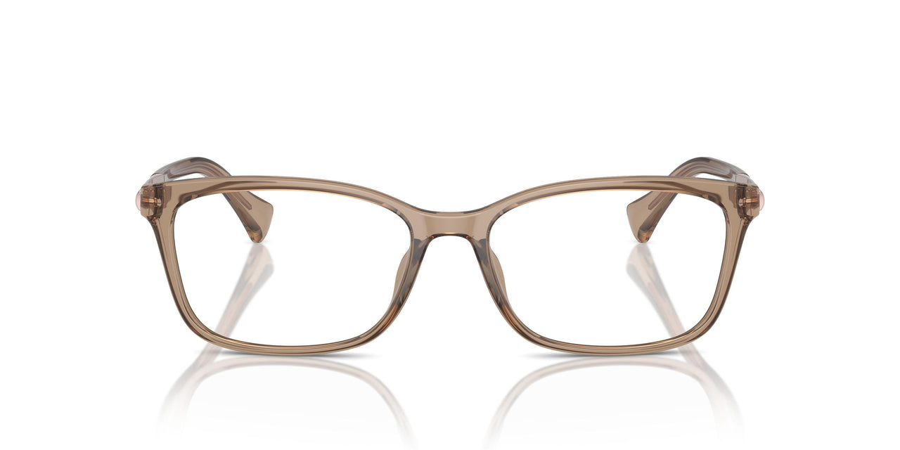 6120 - Brown