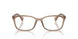 6120 - Brown