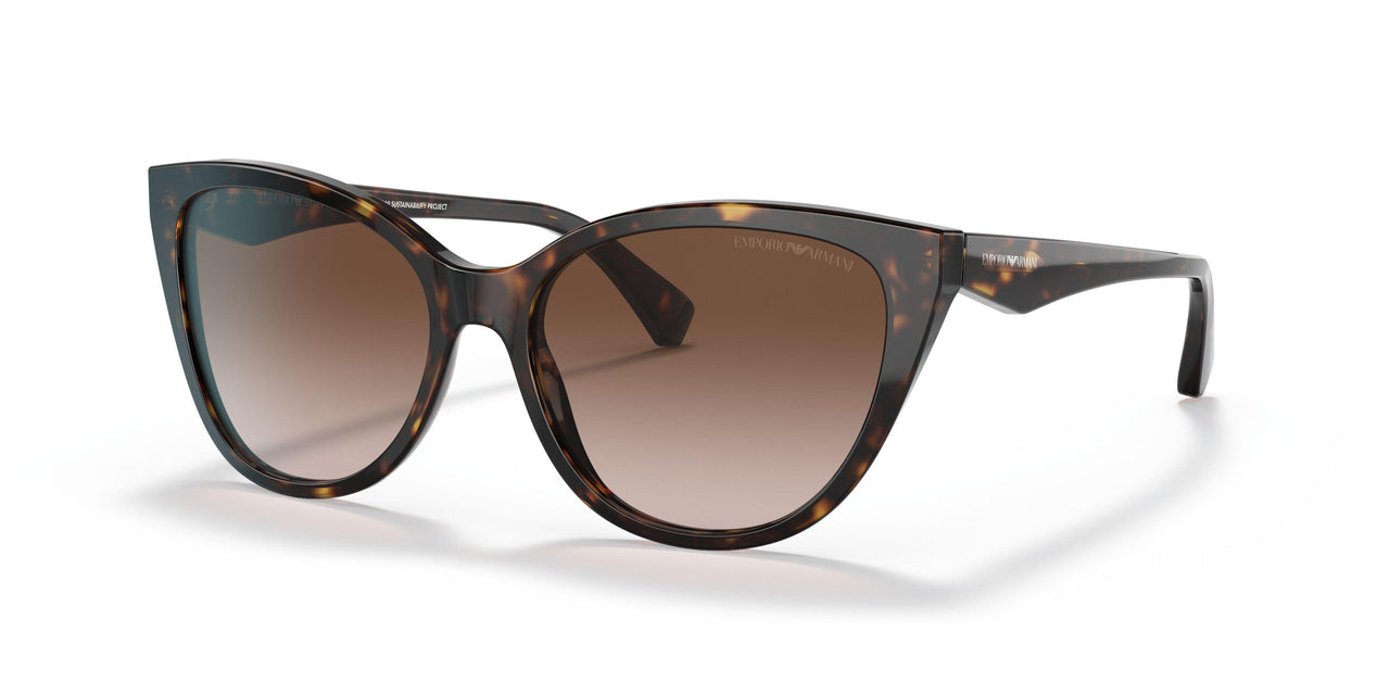 587913 - Havana - Gradient Brown
