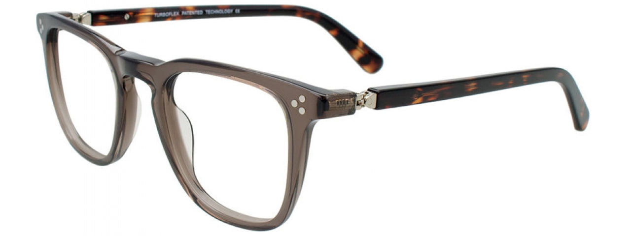 20 - Transparent Grey & Brown Tortoise