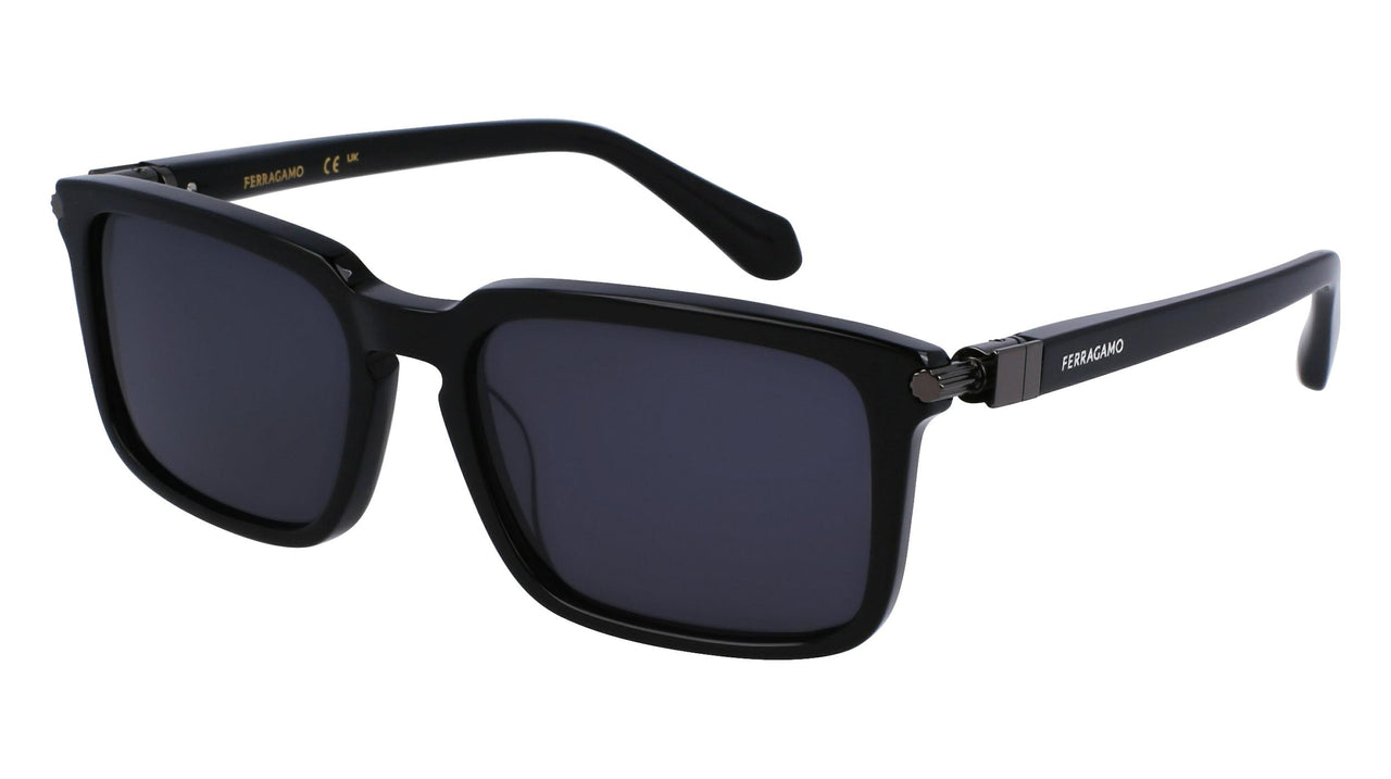 Salvatore Ferragamo SF1110S Sunglasses