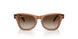 712713 - Brown - Brown Gradient