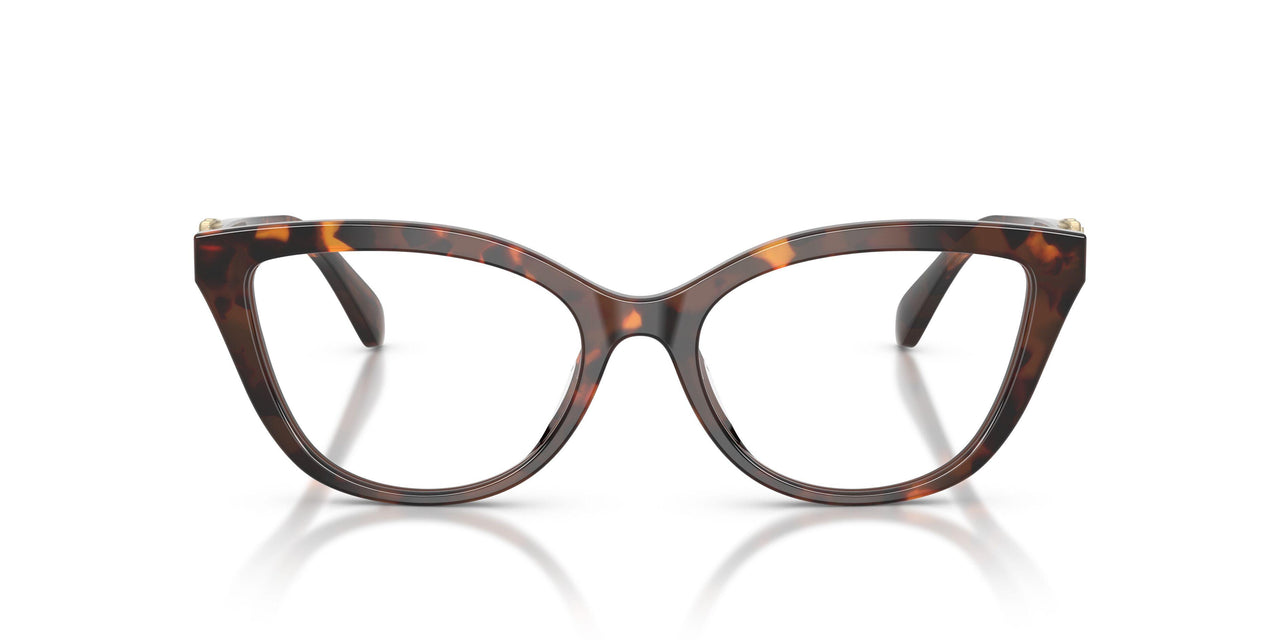 4031 - Tortoise