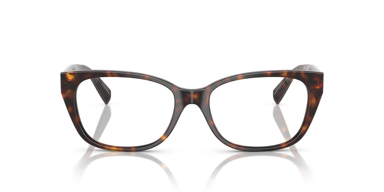 8015 - Tortoise