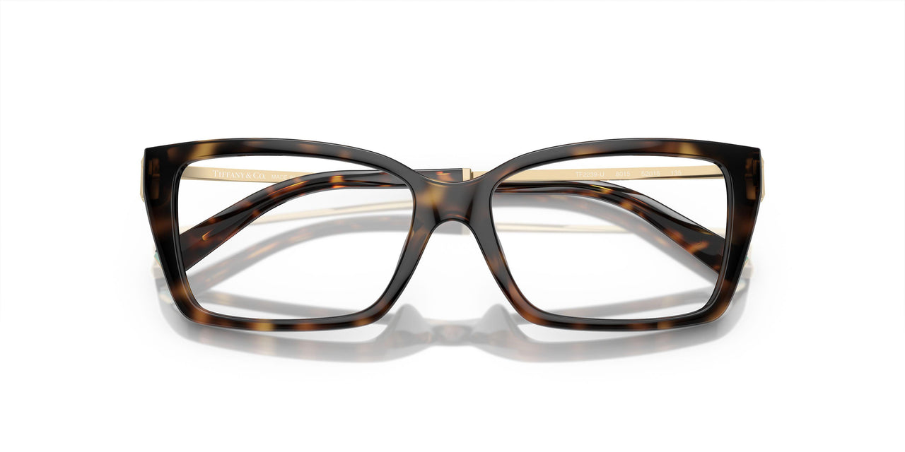 8015 - Tortoise