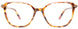 10 - Transparent Tortoise & Pink Transparent Trim