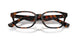 3002 - Brown