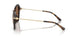 30063G - Tortoise - Dark Brown Solid