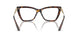 5002 - Tortoise