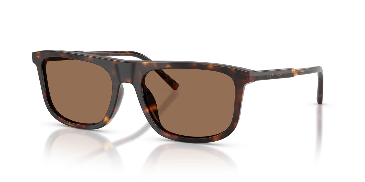 502/73 - Tortoise - Dark Brown