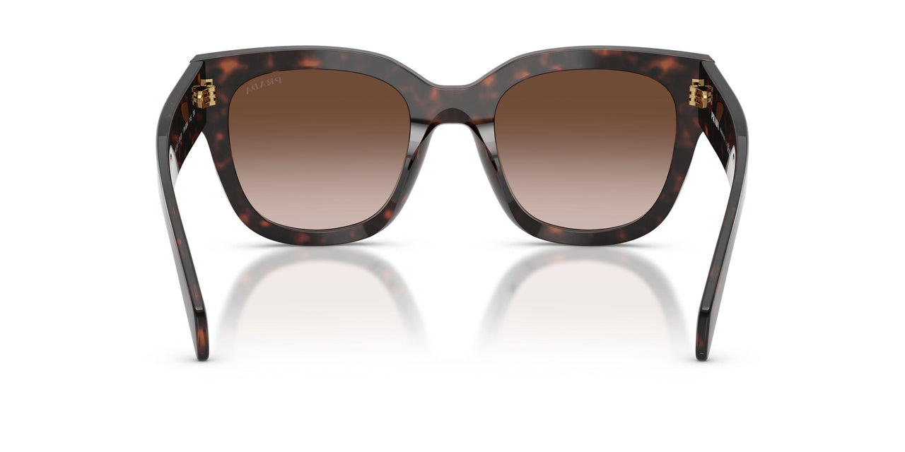 17N80A - Tortoise - Brown Gradient