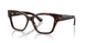 3002 - Brown