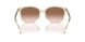 573613 - Brown - Brown Gradient