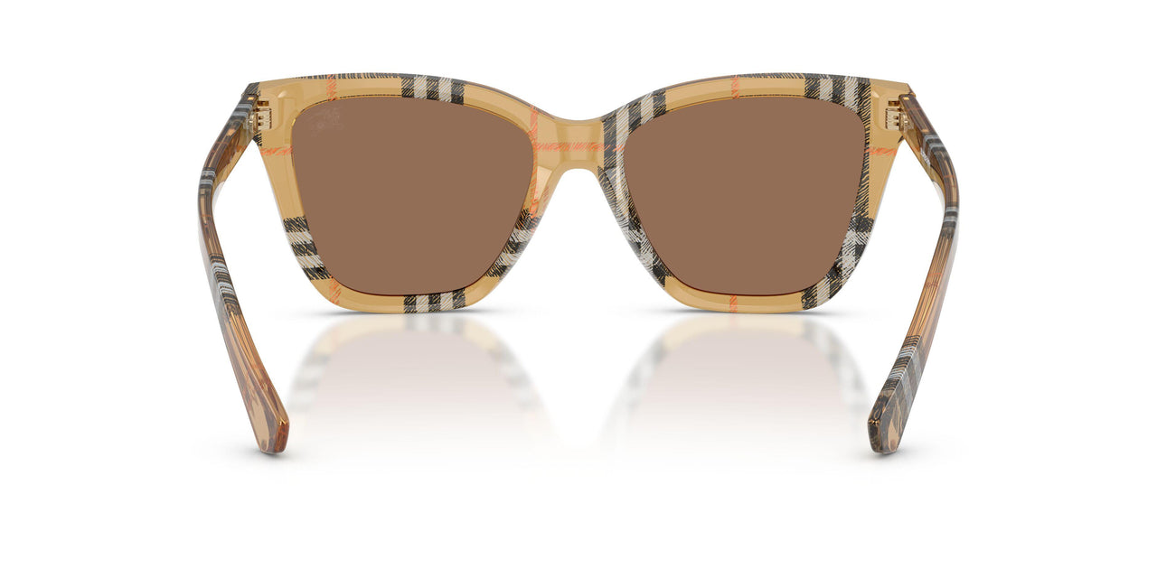 416373 - Brown - Dark Brown