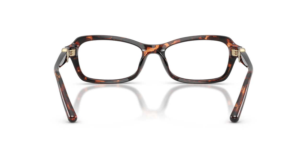 4031 - Tortoise
