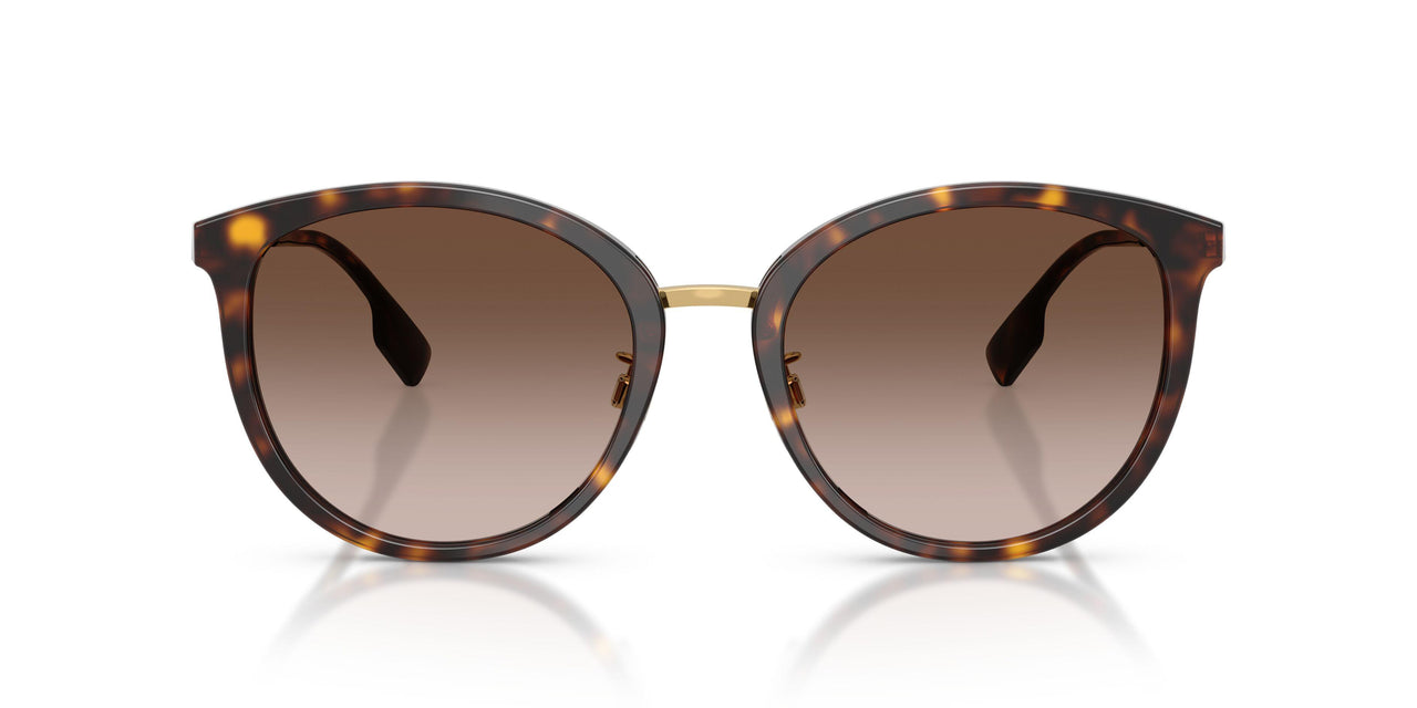 300213 - Havana - Brown Gradient