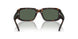 122271 - Brown - Dark Green