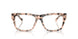 5080 - Tortoise