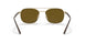 001/AN - Gold - Polar Brown