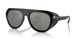 501/5C - Black - Mirror Silver Polar