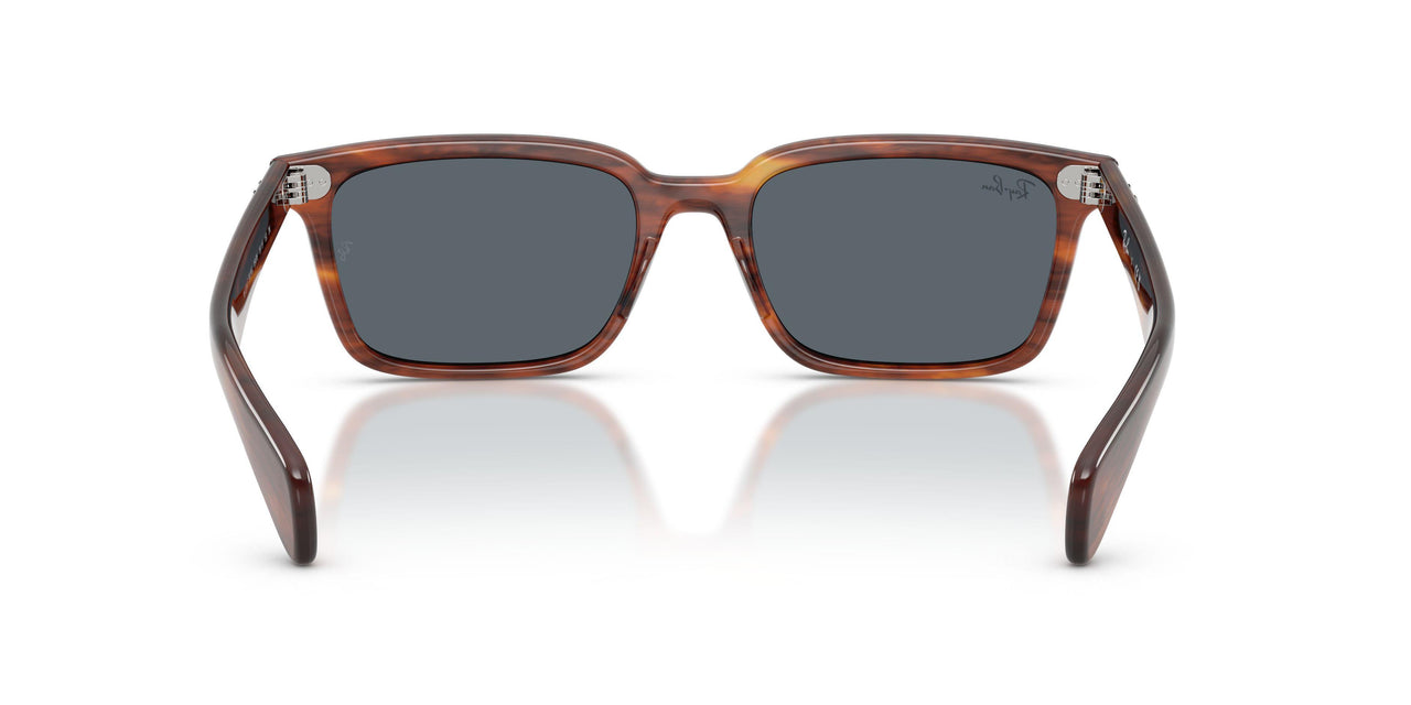 954/R5 - Brown - Blue
