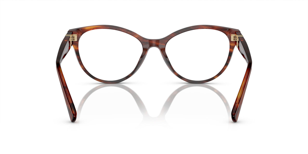 5007 - Brown