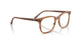 8455 - Tortoise - Clear
