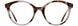 Cinzia CIN5199 Eyeglasses