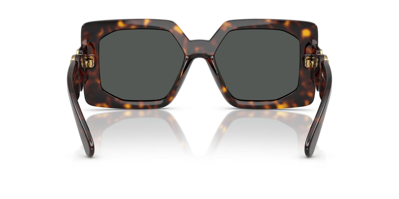 108/87 - Tortoise - Dark Grey