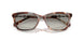 61953C - Tortoise - Grey Gradient