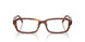 2144 - Brown - Demo Bio