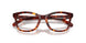 5938 - Tortoise