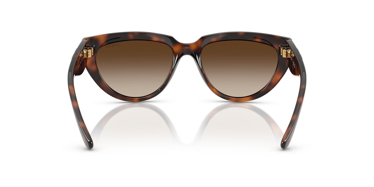 271813 - Brown - Gradient Dark Brown
