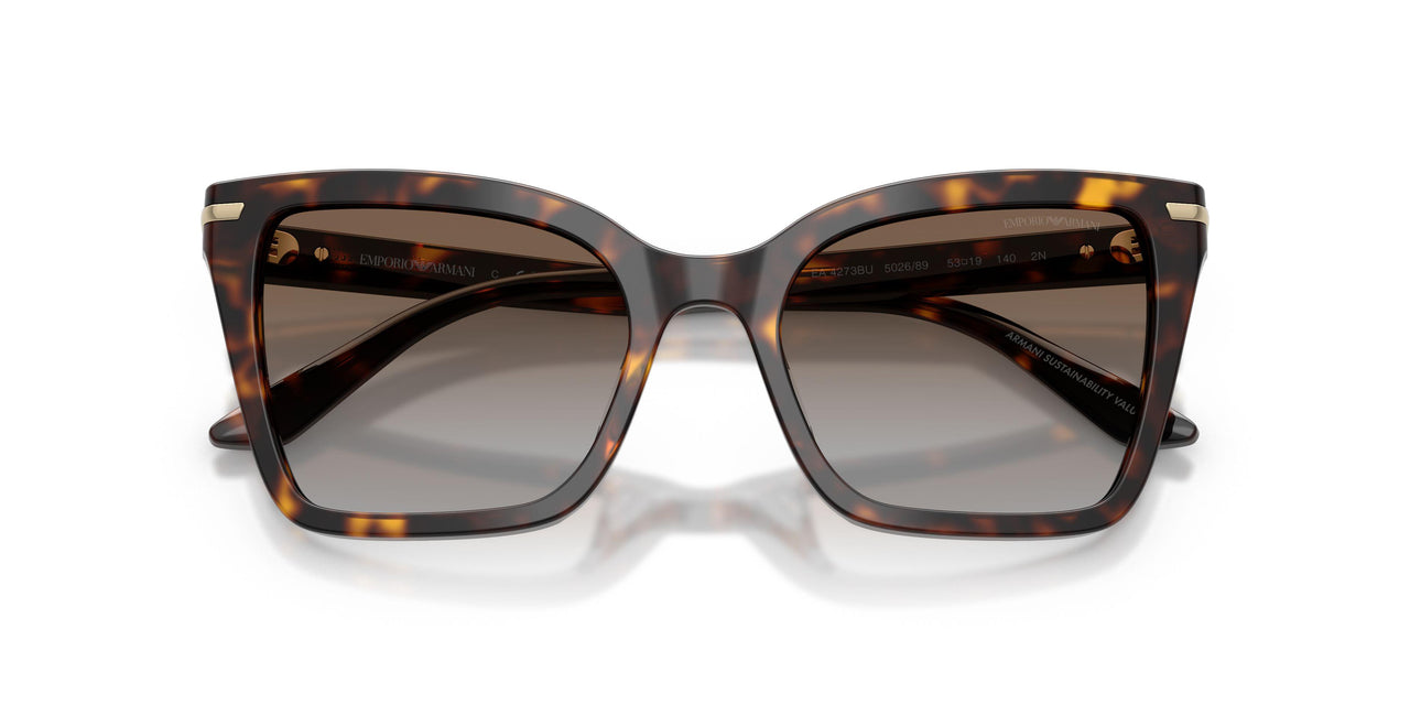 502689 - Tortoise - Grey Gradient Brown
