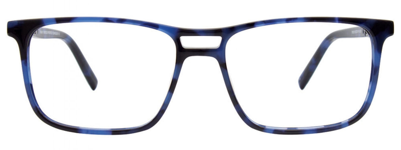 50 - Blue Tortoise