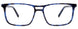 50 - Blue Tortoise